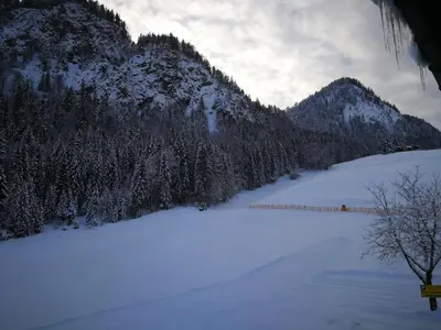 Gasthof Appartement`s Staffnerhof im Winter