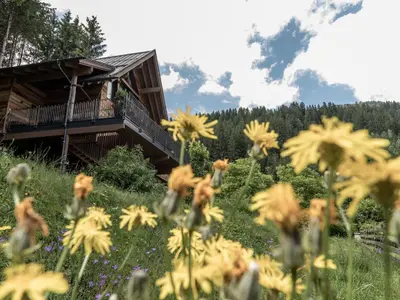 Naturlandschaft in der Nähe der Lodge