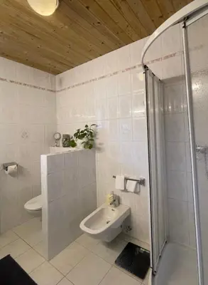 Ein Badezimmer in der Unterkunft Edelweiss Chalet