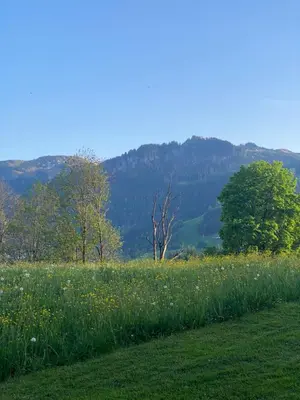 Naturlandschaft in der Nähe der Ferienwohnung