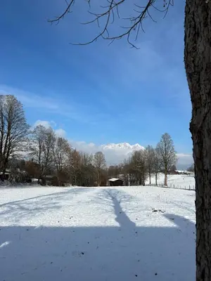 Garconniere am Römerweg im Winter