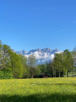Naturlandschaft in der Nähe der Ferienwohnung