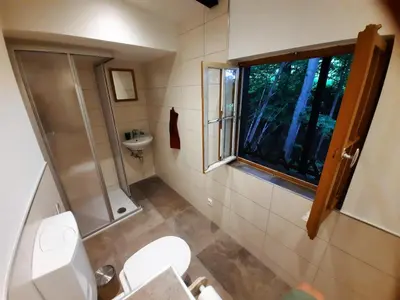 Ein Badezimmer in der Unterkunft Wildromantische Berghütte mit Traum-Panorama