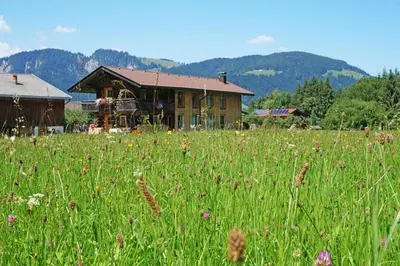Naturlandschaft in der Nähe des Ferienhauses