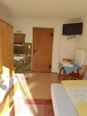 TV/Unterhaltungsangebot in der Unterkunft Ferienwohnung Farbmacher