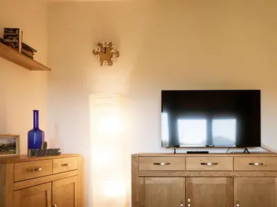 TV/Unterhaltungsangebot in der Unterkunft Apartment Studio Esche 1 by Interhome