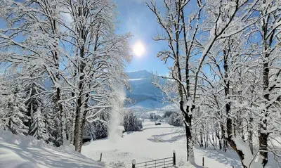 Appartement Beilberg im Winter