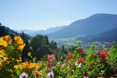 Naturlandschaft in der Nähe der Ferienwohnung