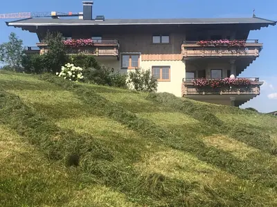 Ein Garten an der Unterkunft MittenDrin