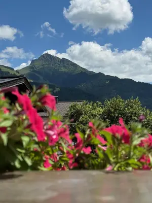 Ein allgemeiner Bergblick oder ein Berglick von der Ferienwohnung aus