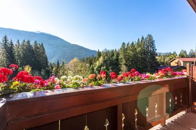 Ein allgemeiner Bergblick oder ein Berglick von des Privatzimmers aus
