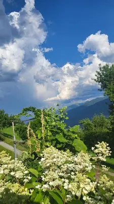 Naturlandschaft in der Nähe des Bauernhofs