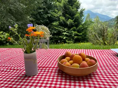 Essen im Ferienhaus oder in der Nähe