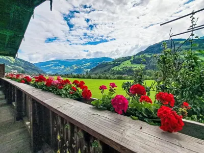 Ein allgemeiner Bergblick oder ein Berglick von der Ferienwohnung aus