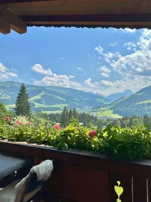 Ein allgemeiner Bergblick oder ein Berglick von der Ferienwohnung aus