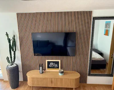 TV/Unterhaltungsangebot in der Unterkunft Jasmina Appartments