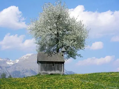 Naturlandschaft in der Nähe der Ferienwohnung