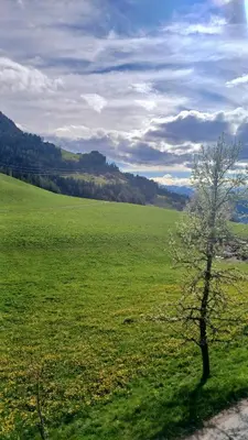 Naturlandschaft in der Nähe der Ferienwohnung