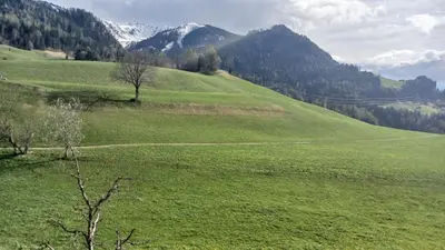 Naturlandschaft in der Nähe der Ferienwohnung