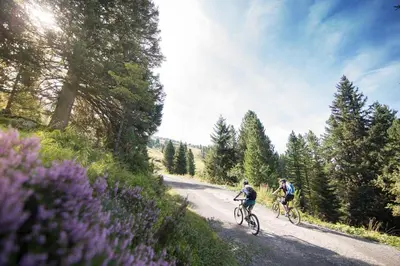 Radfahren an der Unterkunft Appart Gitti oder in der Nähe