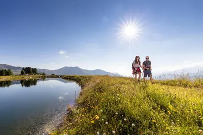Naturlandschaft in der Nähe der Ferienwohnung