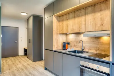 Küche/Küchenzeile in der Unterkunft Sattler Living Apartments