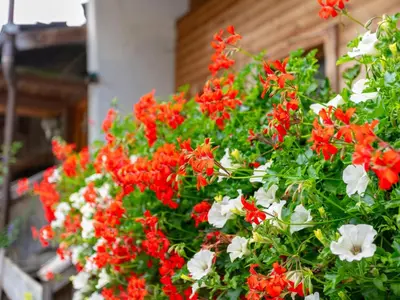 Ein Garten an der Unterkunft Am Bauernhof Top 2