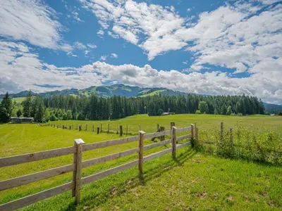 Naturlandschaft in der Nähe der Ferienwohnung