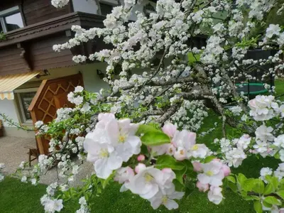 Grundriss der Unterkunft in the Bergblick house