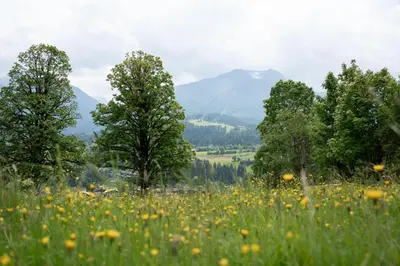 Naturlandschaft in der Nähe der Ferienwohnung