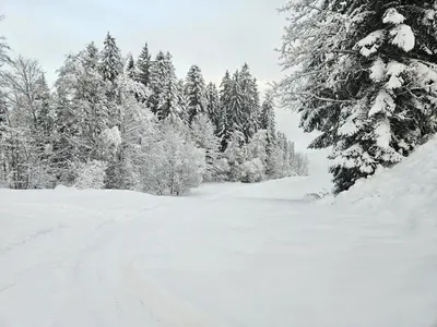 Alpen Studio Ellmau IV im Winter