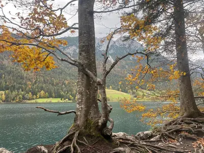 Naturlandschaft in der Nähe der Ferienwohnung