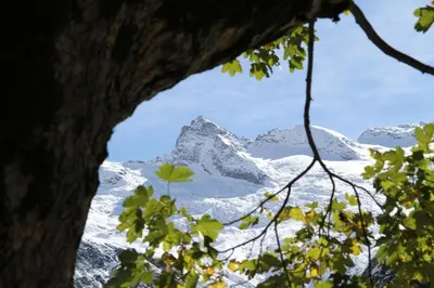 Naturlandschaft in der Nähe der Ferienwohnung