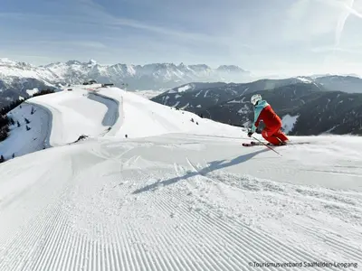 Skifahren in der Ferienwohnung oder in der Nähe