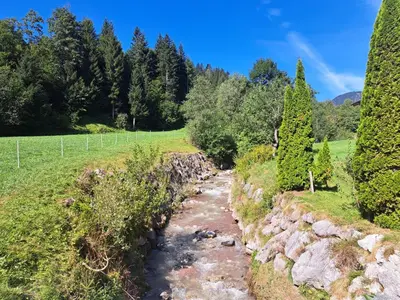 Naturlandschaft in der Nähe der Ferienwohnung