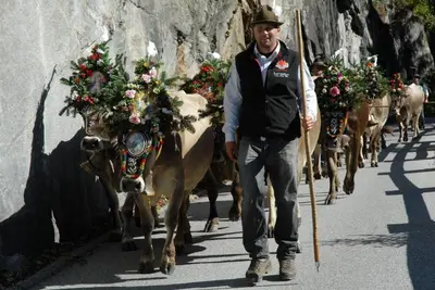 Gäste, die in der Unterkunft Apart-Magdalena Zillertal Mayrhofen übernachten