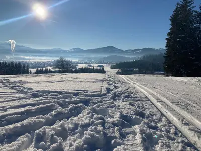 Naturlandschaft in der Nähe der Pension