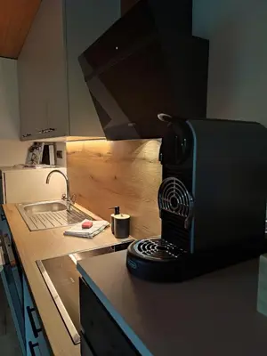Küche/Küchenzeile in der Unterkunft Ferienwohnung Hinteregghof
