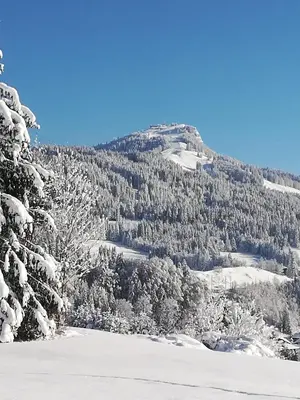 Haus Horngacher im Winter