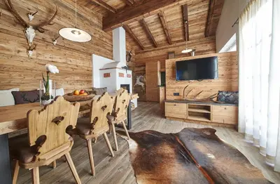 TV/Unterhaltungsangebot in der Unterkunft Panorama Chalets