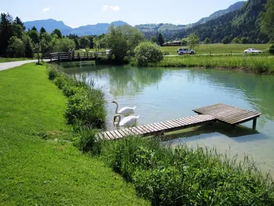 Naturlandschaft in der Nähe der Ferienwohnung