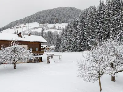 Mittersill apartment close to ski lifts im Winter