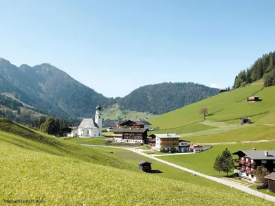Naturlandschaft in der Nähe der Ferienwohnung