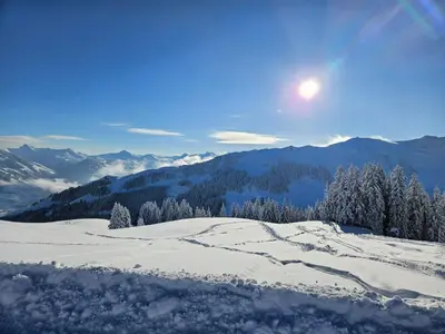 Grundriss der Unterkunft by franz - Alpine Apartments in Kirchberg
