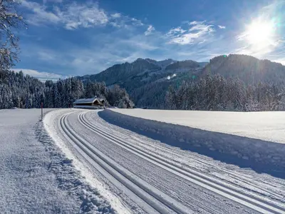 Apartment in Jochberg with ski-in out im Winter