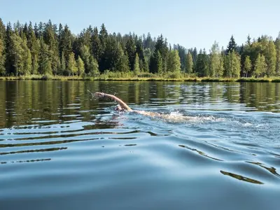 Naturlandschaft in der Nähe der Ferienwohnung