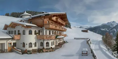 Alpenkönig im Winter