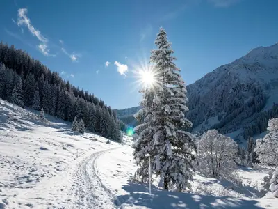 Naturlandschaft in der Nähe des Ferienhauses