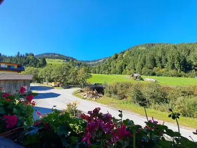 Naturlandschaft in der Nähe des Ferienhauses