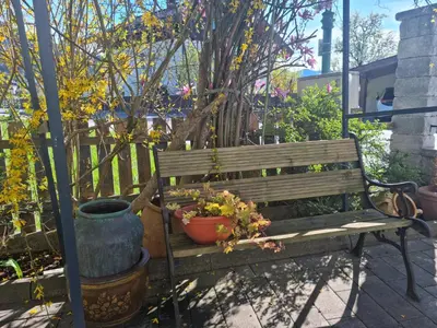 Ein Garten an der Unterkunft 